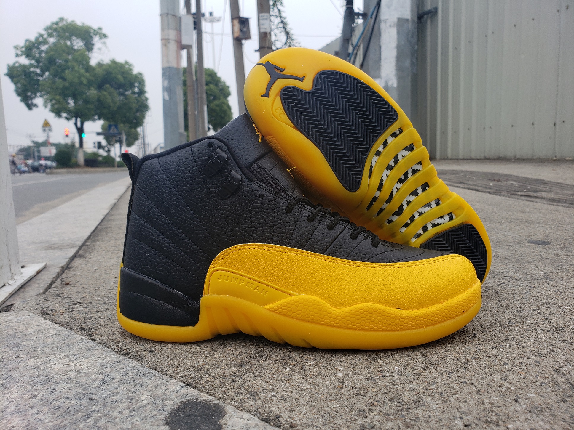 Men's Running weapon Air Jordan 12 Shoes 005